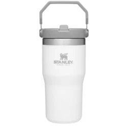 Stanley The IceFlow Flip Straw 20 Oz. Tumbler -Campmor Outdoor Clothing 10 09994 001