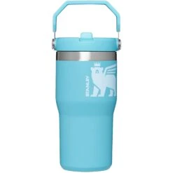 Stanley The IceFlow Flip Straw 20 Oz. Tumbler -Campmor Outdoor Clothing 10 09994 107