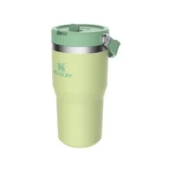 Stanley The IceFlow Flip Straw 20 Oz. Tumbler -Campmor Outdoor Clothing 10 09994 134