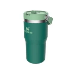 Stanley The IceFlow Flip Straw 20 Oz. Tumbler -Campmor Outdoor Clothing 10 09994 136