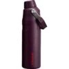 Stanley 24 Oz. IceFlow Fast Flow Bottle - AeroLight Insulated Lightweight Water Bottle