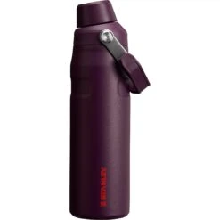 Stanley 24 Oz. The IceFlow Fast Flow Bottle
