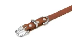 Butter Leather Dog Collar - Sahara Cognac By Molly And Stitch US -Campmor Outdoor Clothing 10 2dd59a77 4754 4a58 a330 c7f3f37a5568