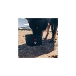 Chums Trail Dawg Waistpack -Campmor Outdoor Clothing 140751