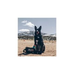 Chums Trail Dawg Waistpack -Campmor Outdoor Clothing 140752