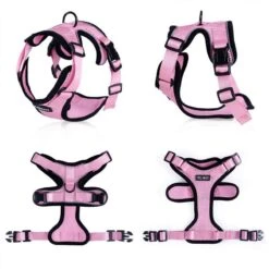 Purrfectprowl - Stylish Cat Walking Harness By Dog Hugs Cat -Campmor Outdoor Clothing 1619336375885