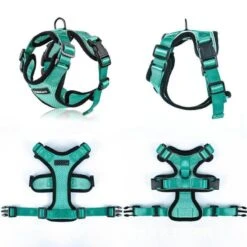 Purrfectprowl - Stylish Cat Walking Harness By Dog Hugs Cat -Campmor Outdoor Clothing 1619336375886 3c6243fe 87d2 44a2 86b3 c08624fac513