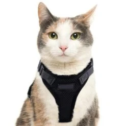 Purrfectprowl - Stylish Cat Walking Harness By Dog Hugs Cat -Campmor Outdoor Clothing 1619336375887