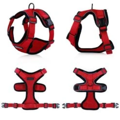 Purrfectprowl - Stylish Cat Walking Harness By Dog Hugs Cat -Campmor Outdoor Clothing 1619336375888