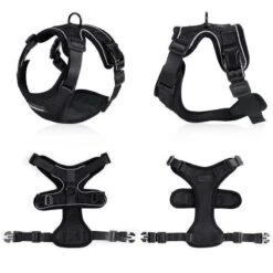 Purrfectprowl - Stylish Cat Walking Harness By Dog Hugs Cat -Campmor Outdoor Clothing 1619336385448