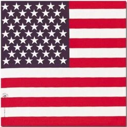 American Flag Bandana
