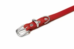 Butter Leather Dog Collar - Chili Red By Molly And Stitch US -Campmor Outdoor Clothing 1q