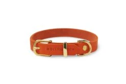 Butter Leather Dog Collar - Mango By Molly And Stitch US