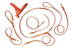 Butter Leather City Dog Leash - Mango By Molly And Stitch US -Campmor Outdoor Clothing 210831 Molly and Stitch Products1060 dd5eb779 f2f5 4145 94b3 f6f09bee828f