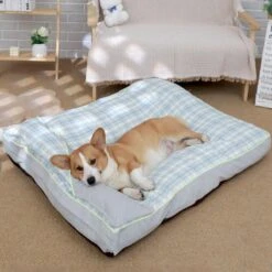 Cozy Comfy Pet Haven By Dog Hugs Cat 27 Cozy Comfy Pet Haven By Dog Hugs Cat -Campmor Outdoor Clothing 218a5c7e 166e 4e61 9fe3 2bed621bcbd9 c3e7fe2c eaae 4435 b128 77cbdf6e4d44