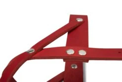 Butter Leather Dog Harness - Chili Red By Molly And Stitch US -Campmor Outdoor Clothing 25
