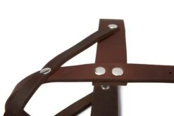 Butter Leather Dog Harness - Classic Brown By Molly And Stitch US 17 Butter Leather Dog Harness - Classic Brown By Molly And Stitch US -Campmor Outdoor Clothing 26