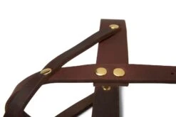 Butter Leather Dog Harness - Classic Brown By Molly And Stitch US 14 Butter Leather Dog Harness - Classic Brown By Molly And Stitch US -Campmor Outdoor Clothing 285577Fw