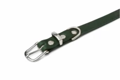 Butter Leather Dog Collar - Forest Green By Molly And Stitch US -Campmor Outdoor Clothing 2green