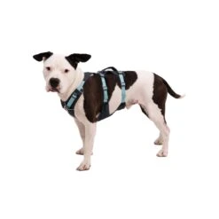 Ruffwear Flagline Harness 11 Ruffwear Flagline Harness -Campmor Outdoor Clothing 30821gry2 63000331 0734 4ce4 98d8 50c421dfd660
