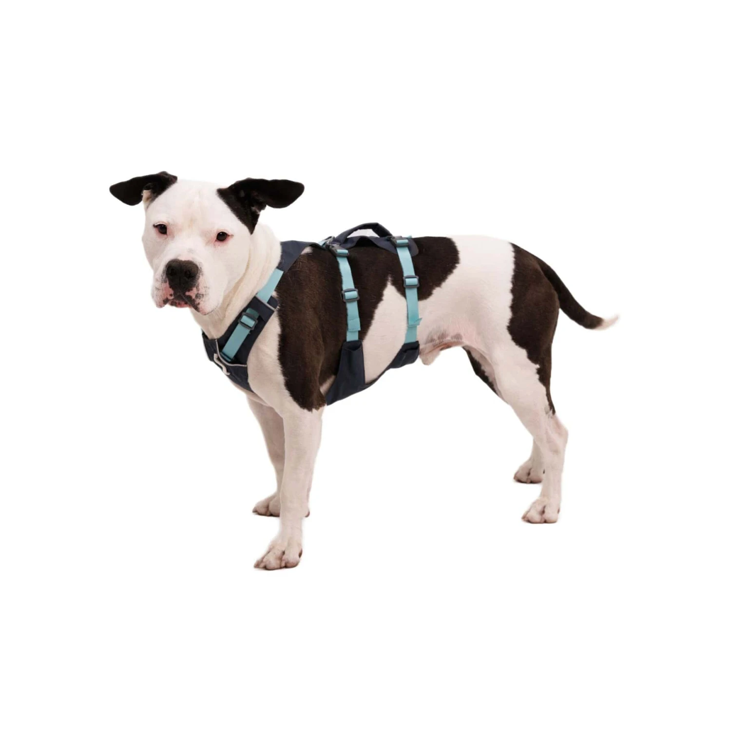 Ruffwear Flagline Harness 3 Ruffwear Flagline Harness - Image 3