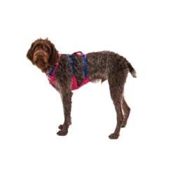 Ruffwear Flagline Harness 16 Ruffwear Flagline Harness -Campmor Outdoor Clothing 30821pnk1 be353459 8477 4126 b67b 75b149f04edf