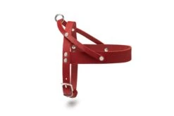 Butter Leather Dog Harness - Chili Red By Molly And Stitch US -Campmor Outdoor Clothing 34