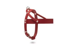 Butter Leather Dog Harness - Chili Red By Molly And Stitch US -Campmor Outdoor Clothing 35