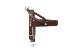 Butter Leather Dog Harness - Classic Brown By Molly And Stitch US 15 Butter Leather Dog Harness - Classic Brown By Molly And Stitch US -Campmor Outdoor Clothing 37