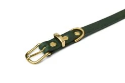 Butter Leather Dog Collar - Forest Green By Molly And Stitch US -Campmor Outdoor Clothing 3b 32c2fc76 a3e2 4bd4 9147 14f65f6988fa