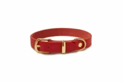 Butter Leather Dog Collar - Chili Red By Molly And Stitch US