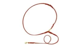 Butter Leather 3x Adjustable Dog Leash - Chili Red By Molly And Stitch US -Campmor Outdoor Clothing 6b