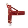 Butter Leather Dog Harness - Chili Red By Molly And Stitch US