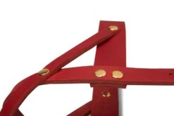 Butter Leather Dog Harness - Chili Red By Molly And Stitch US -Campmor Outdoor Clothing 7p CFRFQ
