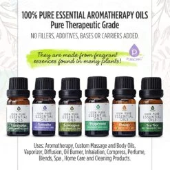 6 Pack Of 100% Pure Essential Aromatherapy Oils By Pursonic -Campmor Outdoor Clothing 81VSx f33gL. AC SL1500