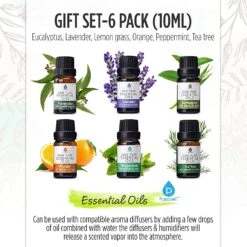 6 Pack Of 100% Pure Essential Aromatherapy Oils By Pursonic -Campmor Outdoor Clothing 81yTTUij5zL. AC SL1500