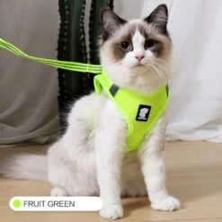 The Wanderlust Cat Adventure Harness By Dog Hugs Cat -Campmor Outdoor Clothing 918440541655