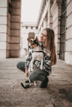 Butter Leather Dog Harness - Classic Brown By Molly And Stitch US 19 Butter Leather Dog Harness - Classic Brown By Molly And Stitch US -Campmor Outdoor Clothing JMH0HBYc