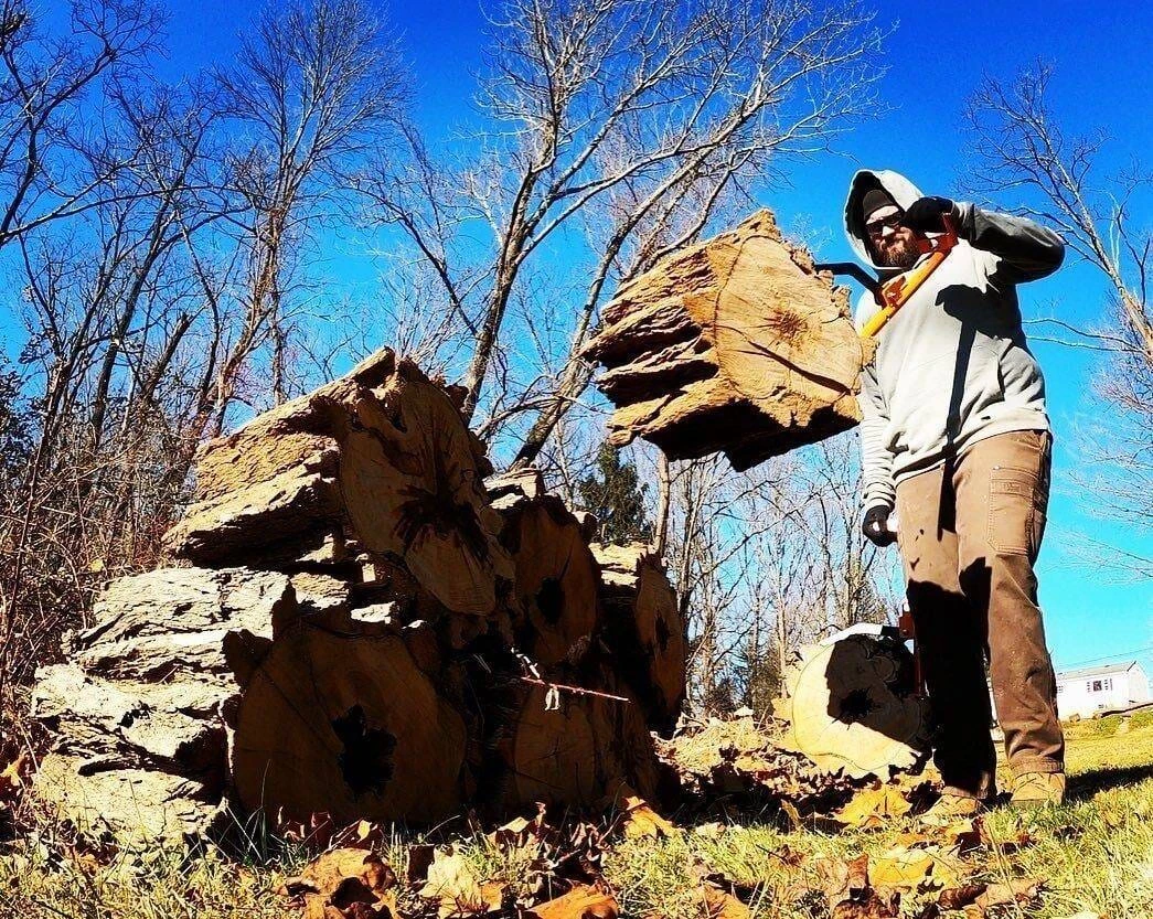 LogOX Forester Package 16 LogOX Forester Package - Image 16