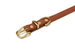 Butter Leather Dog Collar - Sahara Cognac By Molly And Stitch US -Campmor Outdoor Clothing Lt Brown Collar D