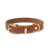 Butter Leather Dog Collar - Sahara Cognac By Molly And Stitch US