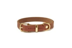 Butter Leather Dog Collar - Sahara Cognac By Molly And Stitch US