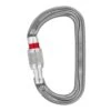 Petzl Am'D Twist-Lock Asymmetrical D-Shape Aluminum Carabiner - Gray