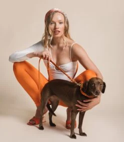 Butter Leather Dog Collar - Mango By Molly And Stitch US 11 Butter Leather Dog Collar - Mango By Molly And Stitch US -Campmor Outdoor Clothing Molly Stitch6770