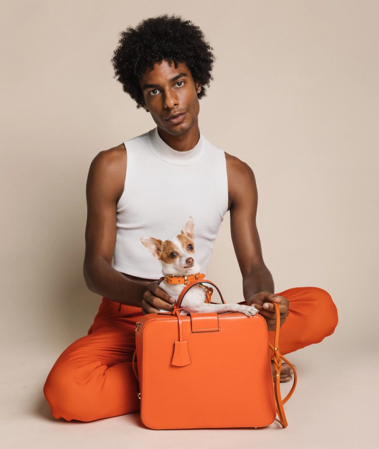 Butter Leather Dog Collar - Mango By Molly And Stitch US 5 Butter Leather Dog Collar - Mango By Molly And Stitch US - Image 5