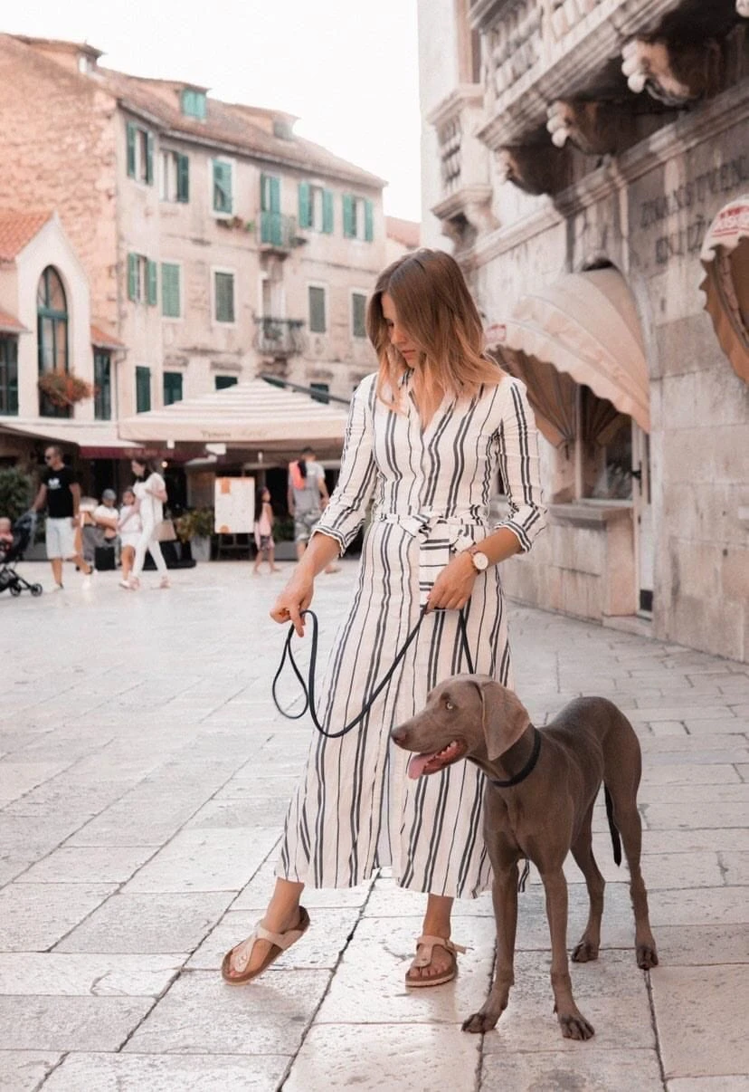 Butter Leather City Dog Leash - Navy Blue By Molly And Stitch US 6 Butter Leather City Dog Leash - Navy Blue By Molly And Stitch US - Image 6