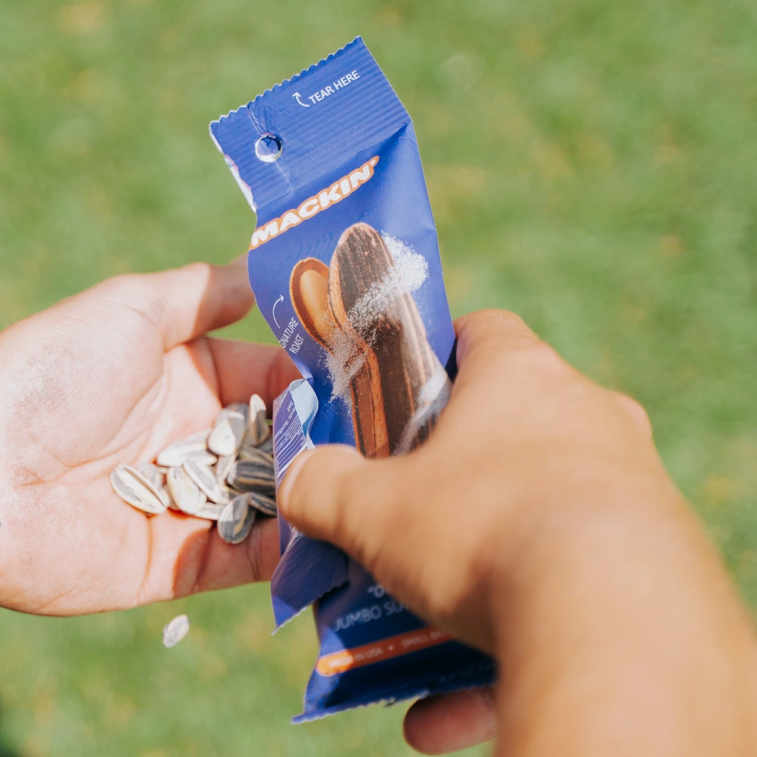 OG ORIGINAL By SMACKIN' Sunflower Seeds 8 OG ORIGINAL By SMACKIN' Sunflower Seeds - Image 8