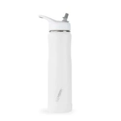 THE SUMMIT - Stainless Steel Insulated Straw Water Bottle - 24oz By EcoVessel