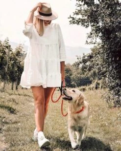 Touch Of Leather Dog Collar - Pumpkin By Molly And Stitch US -Campmor Outdoor Clothing TwIaZTCw 609efed8 4f34 46e5 9ac7 a73d1cd885b7