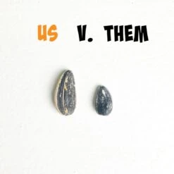 BACKYARD BBQ By SMACKIN' Sunflower Seeds 15 BACKYARD BBQ By SMACKIN' Sunflower Seeds -Campmor Outdoor Clothing Usvthem 01 d6446b30 200b 41ca b3e5 ac9f54b9c512